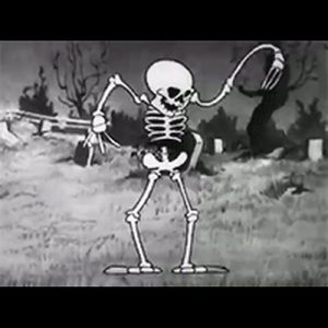 Meet your Posher, Bella